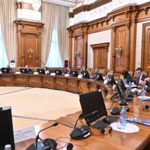 NSC: Briefing pentru membrii Comitetului pentru Democrație și Securitate al Adunării Parlamentare NATO