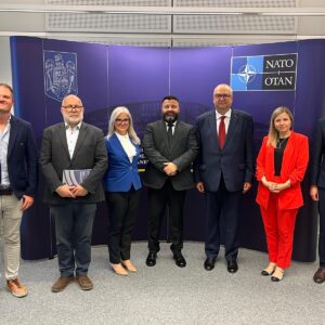 NSC and NUPI at NATO: presentations on Russian information warfare