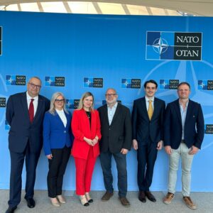 NSC și NUPI la NATO: prezentări pe tema războiului informațional rusesc