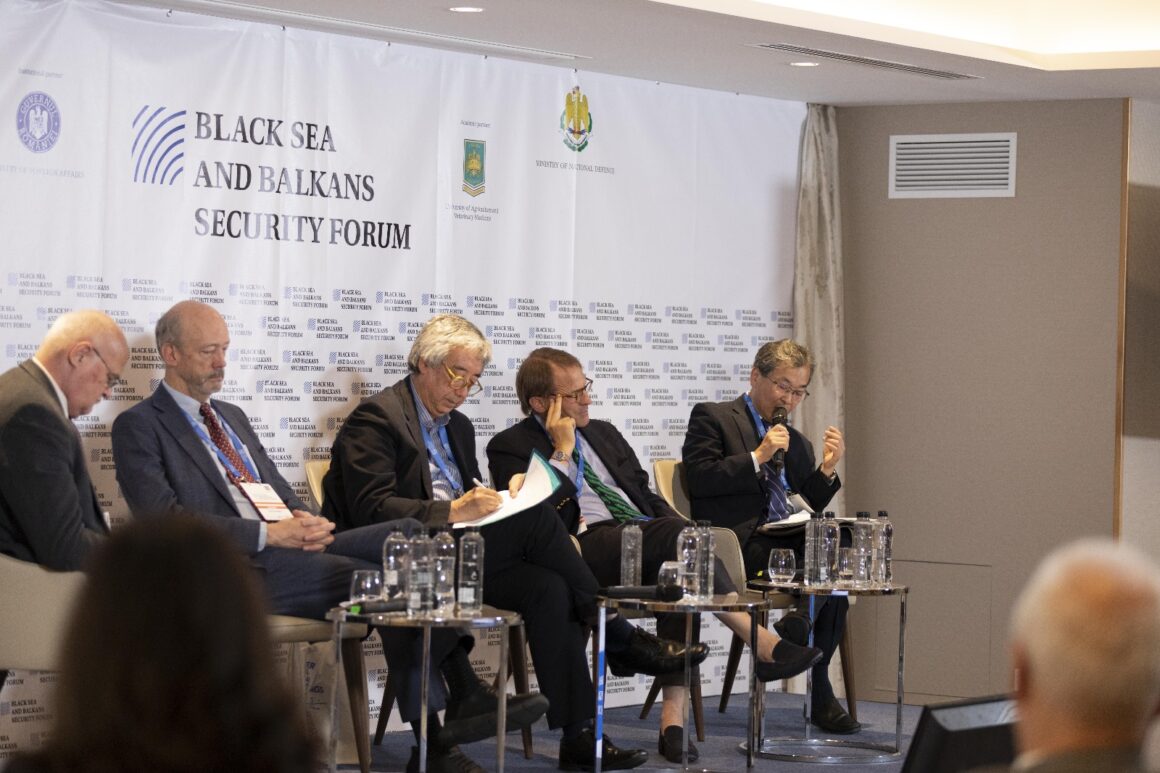 Panel VIIc. Global Disorder as a Creation of Autocratic Regimes