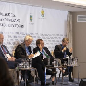 Panel VIIc. Global Disorder as a Creation of Autocratic Regimes