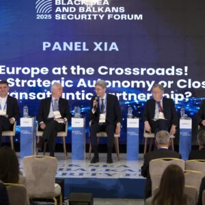 Panel XIa. Europe at the Crossroads! More Strategic Autonomy or Closer Transatlantic Partnership?