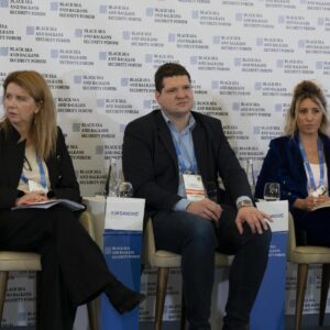 Panel XVb. All Quiet on the Western Balkans Front. Or Not?