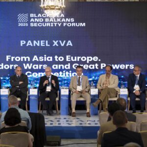 Panel XVa. From Asia to Europe. Corridors, Wars, and Great Powers Competition