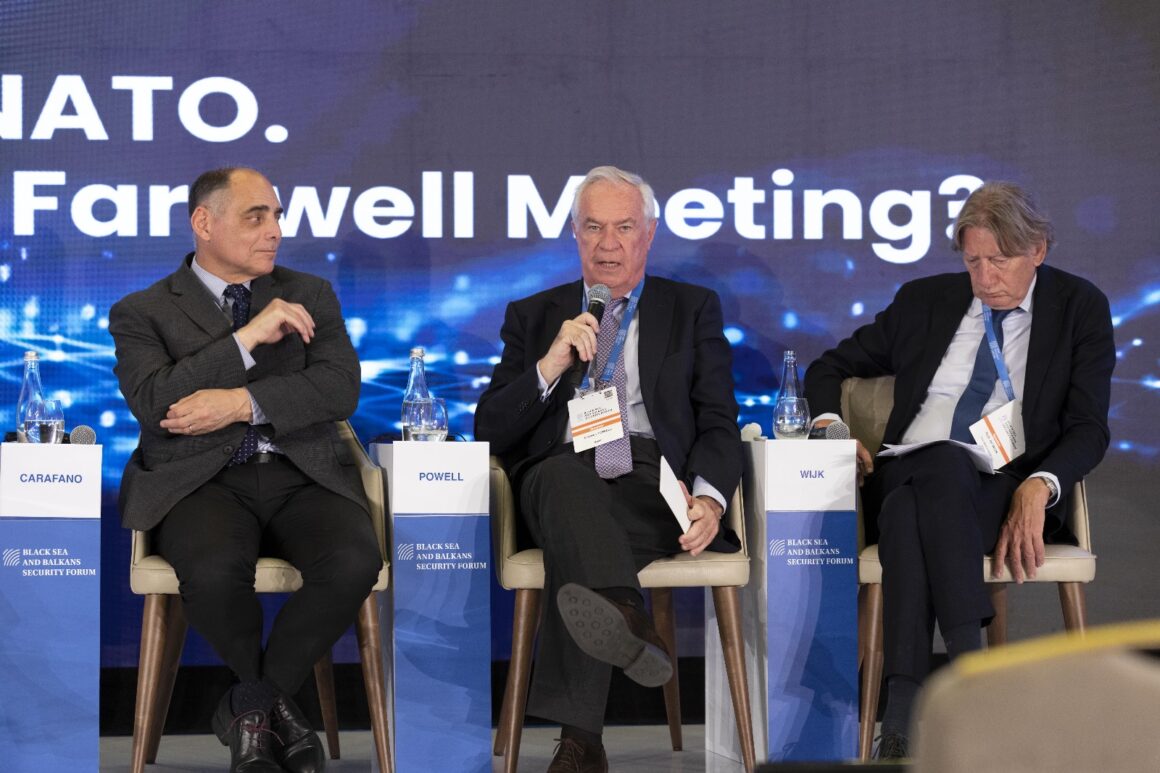 Panel XVIa. US and NATO. Stronger Together or Farewell Meeting?