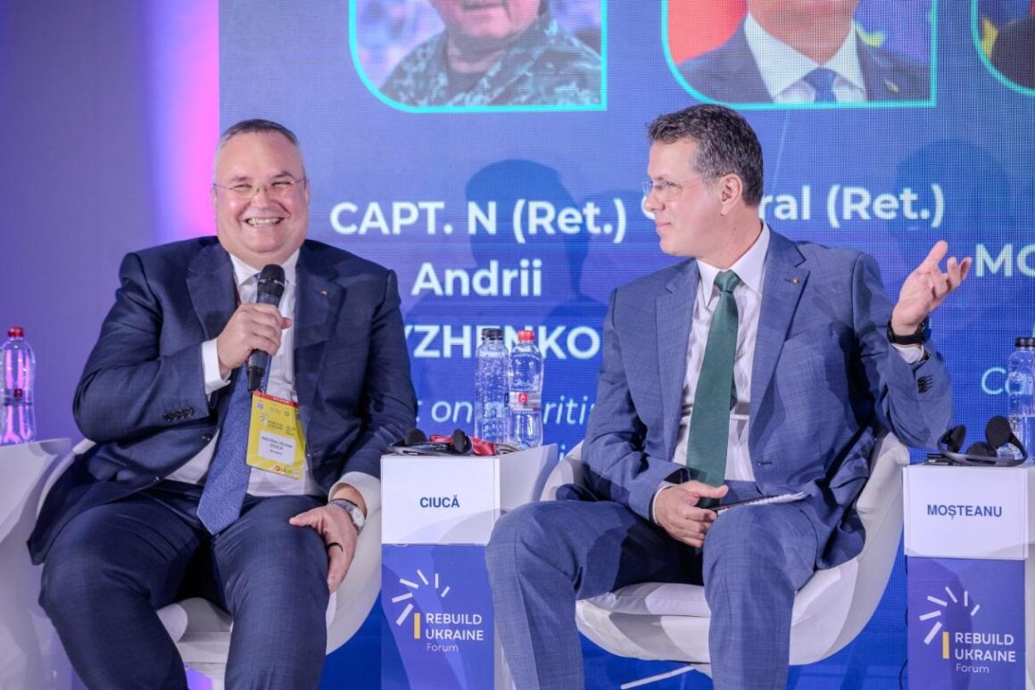 Nicolae Ciucă and Ionuț Moșteanu, Panel VIb