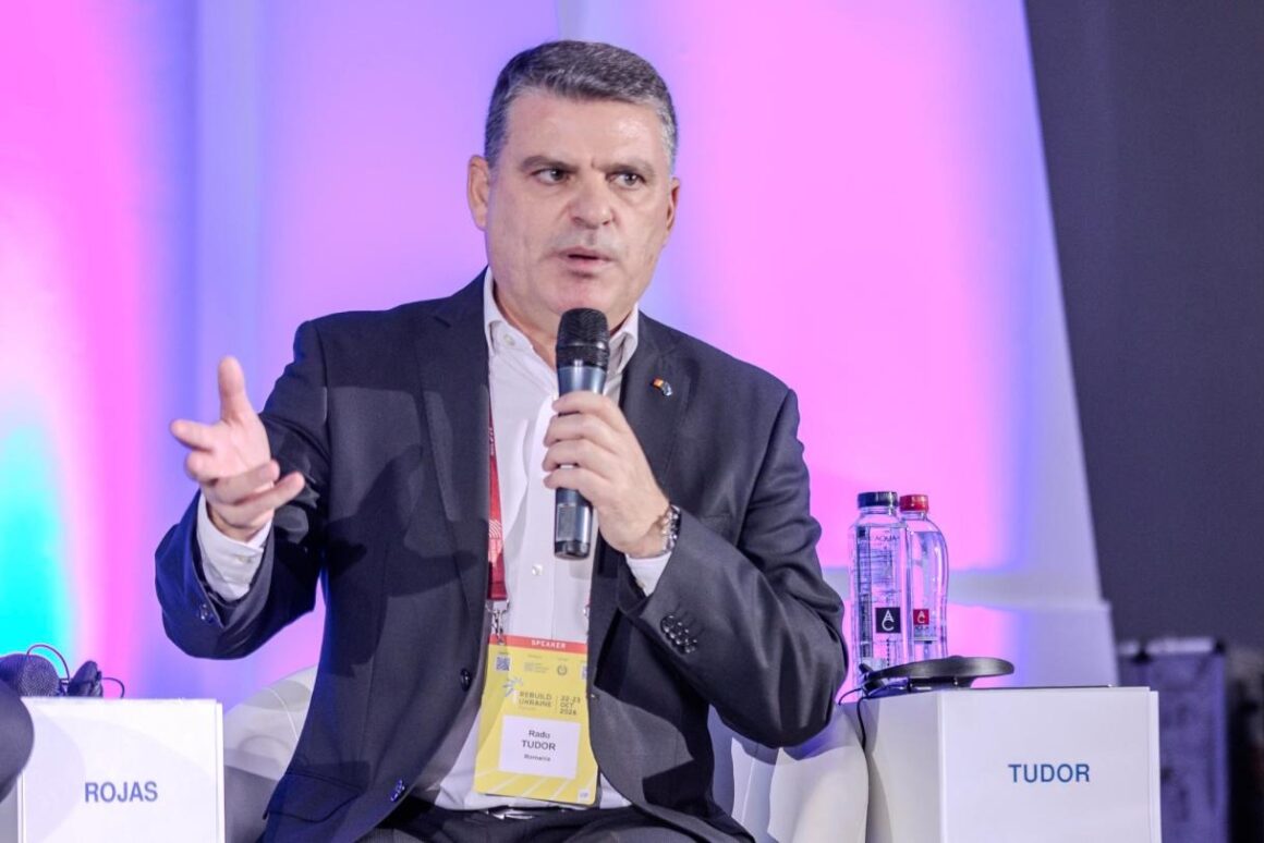 Radu Tudor, Panel VIb