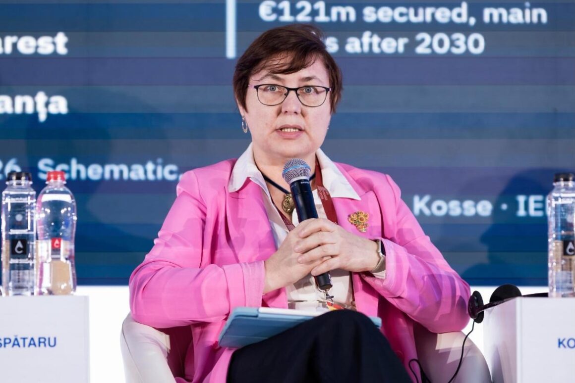 Iryna Kosse, Panel XIa